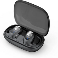 Budi True wireless stereo - EP36B